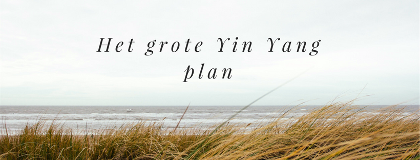 Maak een groot Yin-Yang-plan voor een straffe communicatie